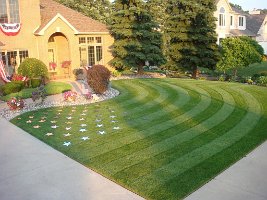 misc.-landscaping-1024x768
